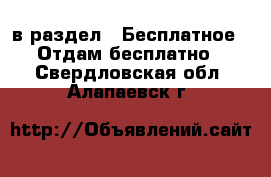  в раздел : Бесплатное » Отдам бесплатно . Свердловская обл.,Алапаевск г.